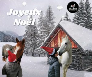Story Instagram Vidéo Neige Hiver Blanc Publication Facebook | Sellerie de la Risle Joyeux Noël